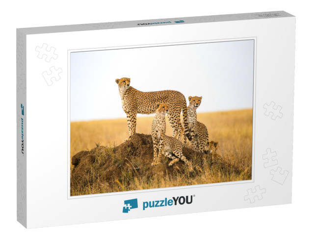 Cheetahs Watching Prey in Serengeti National Park, Tanzan... Jigsaw Puzzle