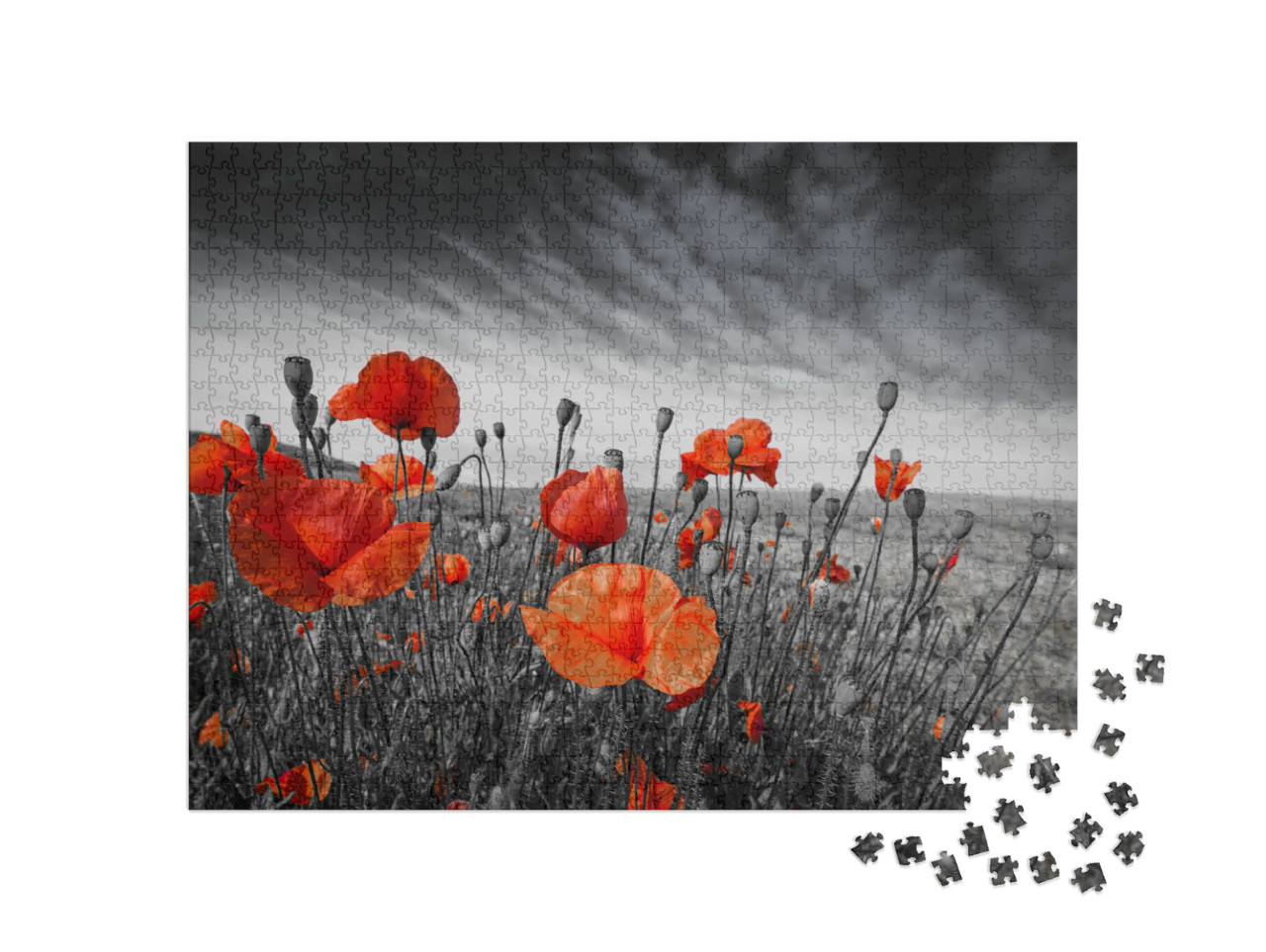 Poppies on a Meadow... Jigsaw Puzzle with 1000 pieces