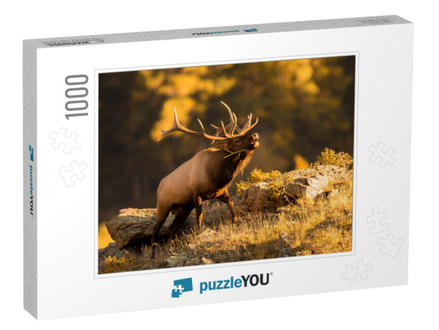 Bull Elk Bugling for Mate in September... Jigsaw Puzzle with 1000 pieces