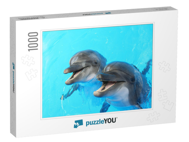 Two Dolphins Swim in the Pool... Jigsaw Puzzle with 1000 pieces