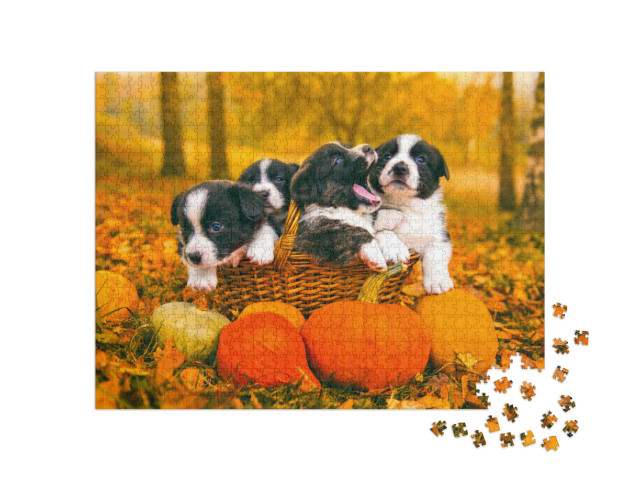 Funny Happy Welsh Corgi Pembroke Puppies Dogs Posing in t... Jigsaw Puzzle with 1000 pieces