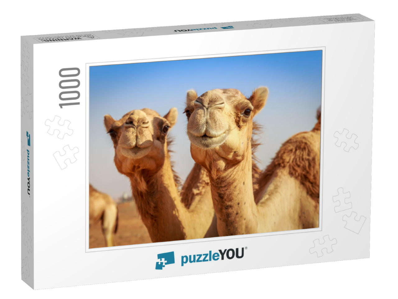 Camels in Arabia, Wildlife... Jigsaw Puzzle with 1000 pieces