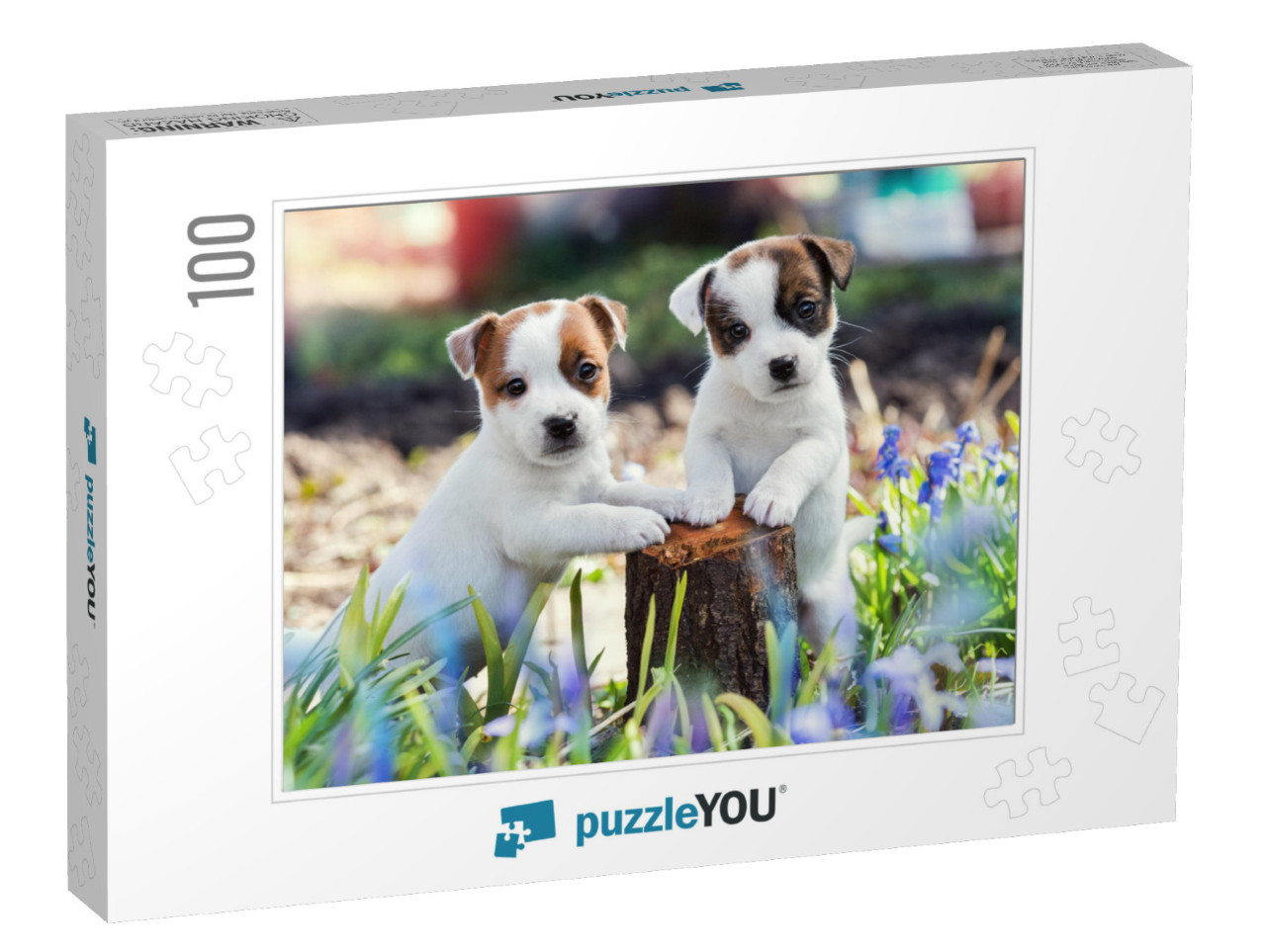 Two White Puppy Jack Russell Terrier Standing on Tree Stu... Jigsaw Puzzle with 100 pieces