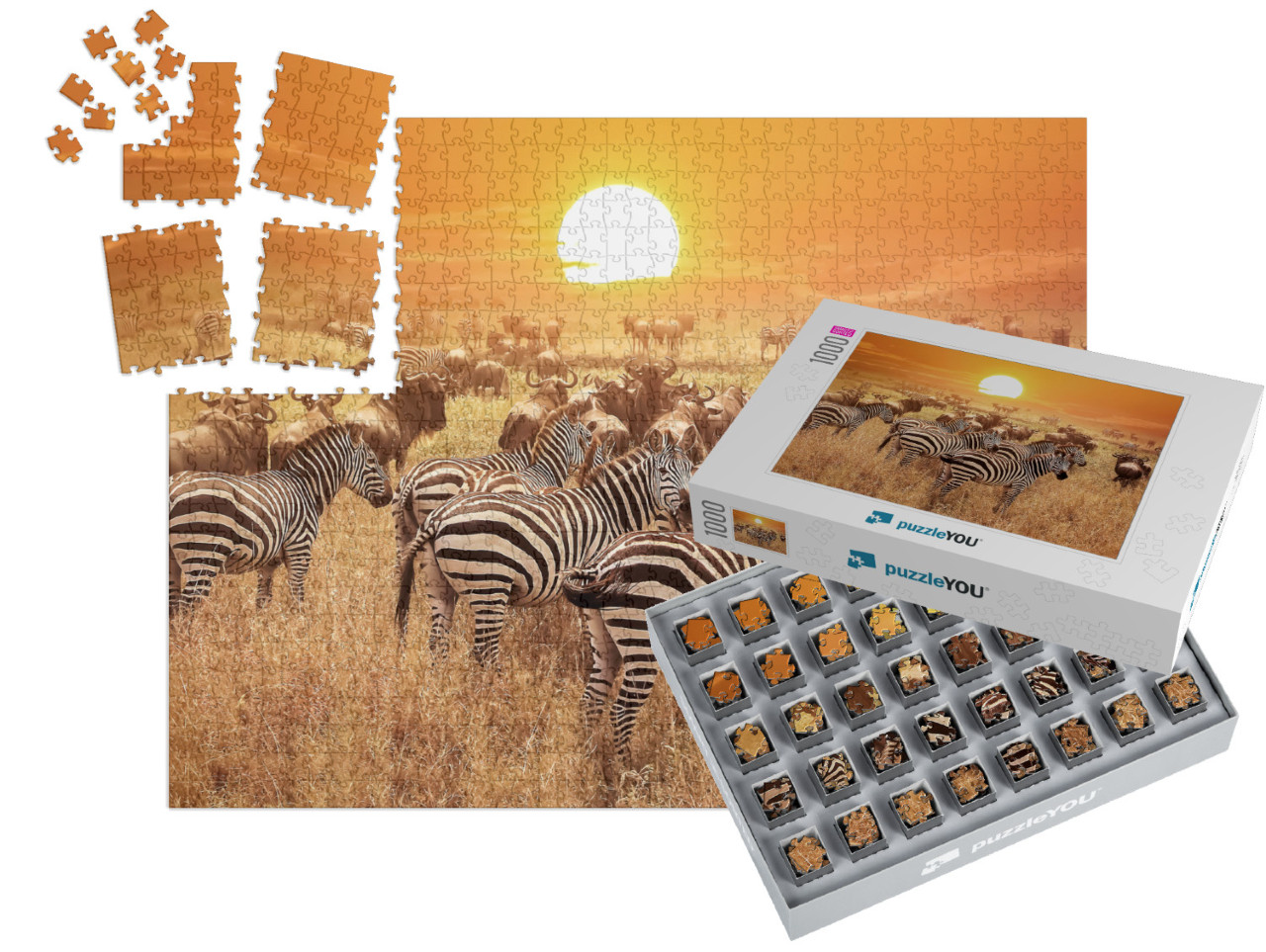 Zebra At Sunset in the Serengeti National Park. Africa. T... | SMART SORTED® | Jigsaw Puzzle with 1000 pieces