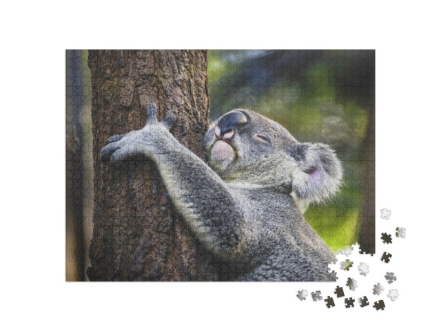 Koala on the Tree... Jigsaw Puzzle with 1000 pieces