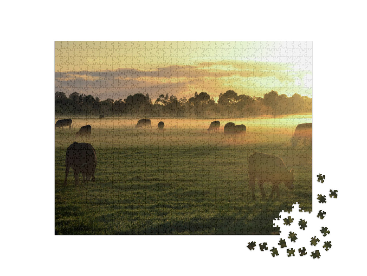 Rural Landscape with Herd of Cows in Morning Fog At Sunri... Jigsaw Puzzle with 1000 pieces