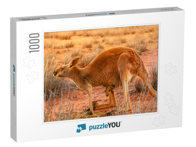 Side View of Red Kangaroo with a Joey in a Pocket, Macrop... Jigsaw Puzzle with 1000 pieces