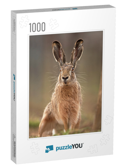 European Hare, Lepus Europaeus... Jigsaw Puzzle with 1000 pieces