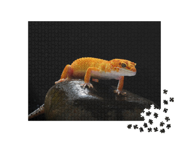 Gecko, Lizard, Leopard Lizard Gecko... Jigsaw Puzzle with 1000 pieces