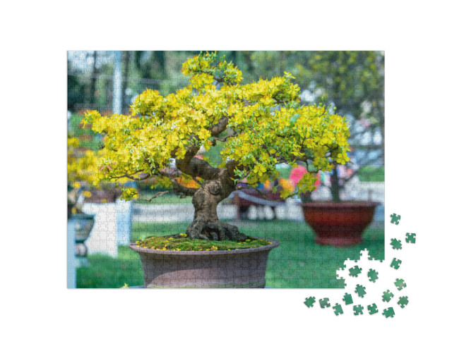 Apricot Bonsai Tree Blooming with Yellow Flowering Branch... Jigsaw Puzzle with 1000 pieces