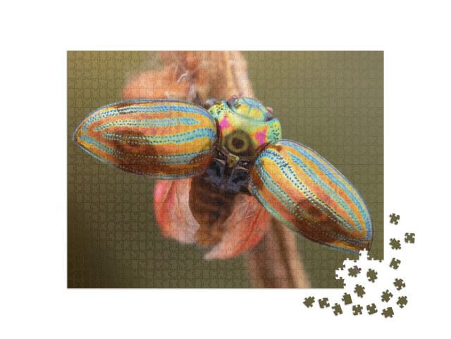 Close Up of a Rosemary Beetle with Wide Open Hard Wings... Jigsaw Puzzle with 1000 pieces