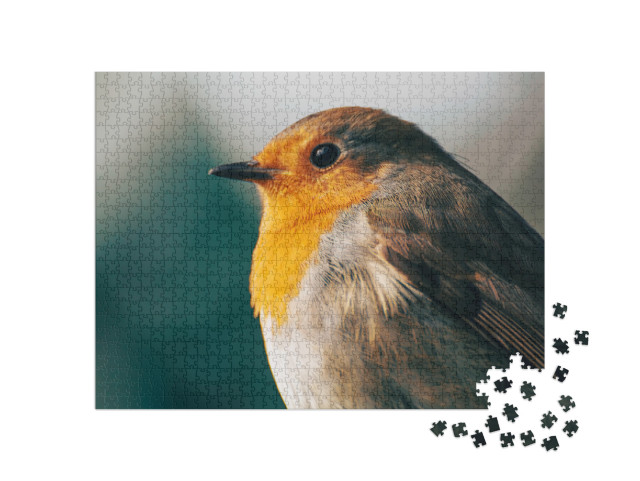 Portrait of European Robin. Beige & Green Bokeh Backgroun... Jigsaw Puzzle with 1000 pieces