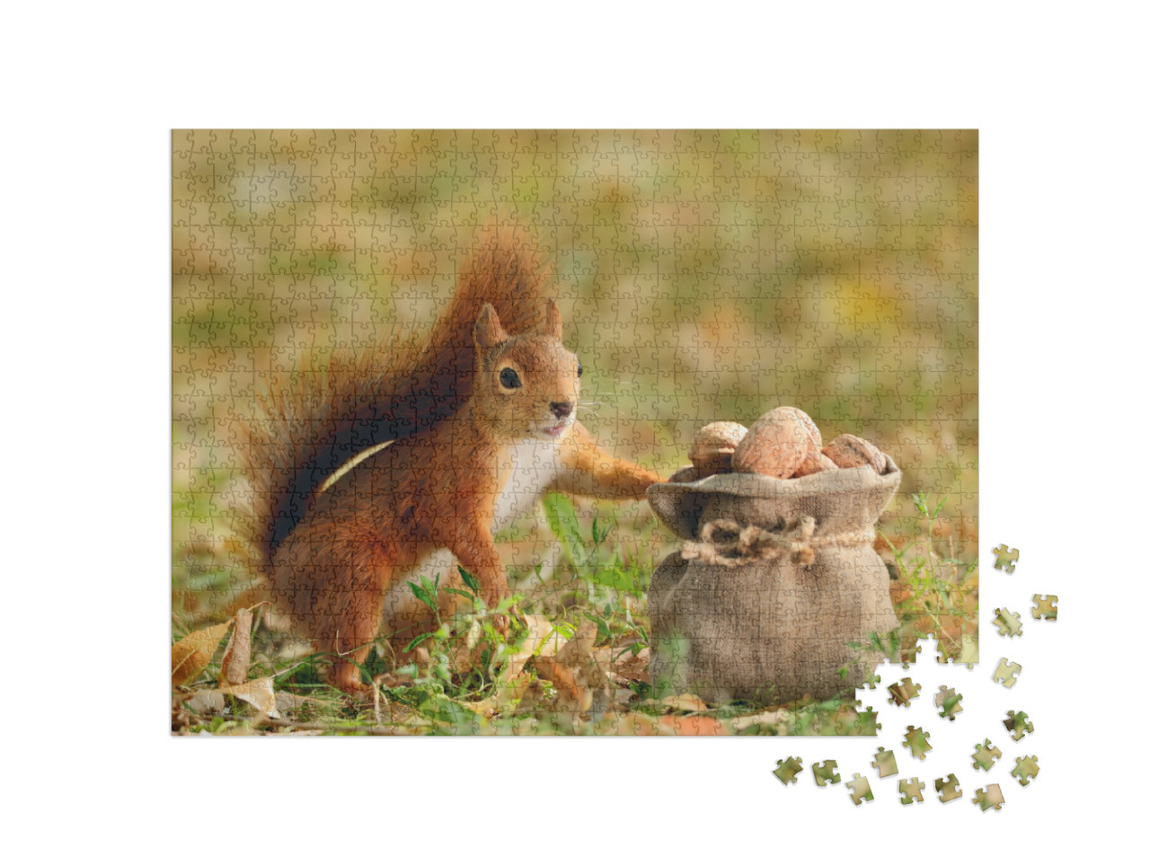 Portrait of a Red Squirrel Holding a Bag with Nuts... Jigsaw Puzzle with 1000 pieces