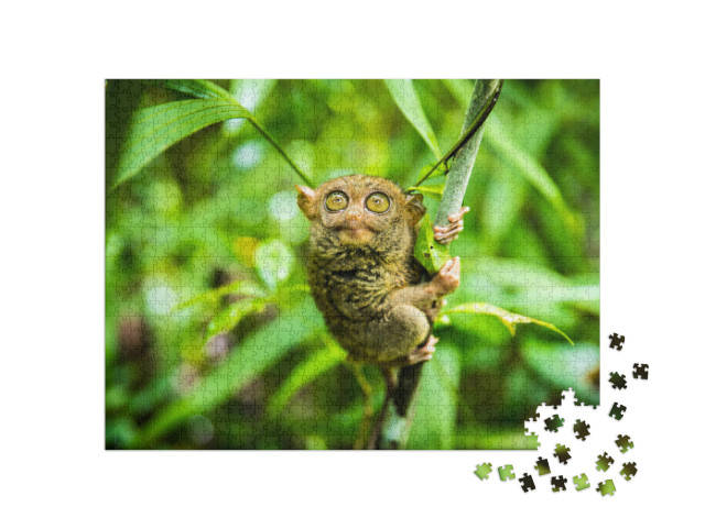 The Philippine Tarsier Carlito Syrichta is a Species of T... Jigsaw Puzzle with 1000 pieces