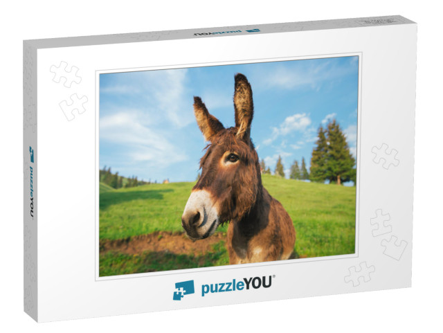 Picture of a Funny Donkey At Sunset in Transylvania... Jigsaw Puzzle