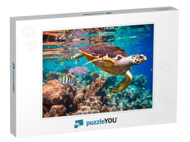 Hawksbill Turtle - Eretmochelys Imbricata Floats Under Wa... Jigsaw Puzzle