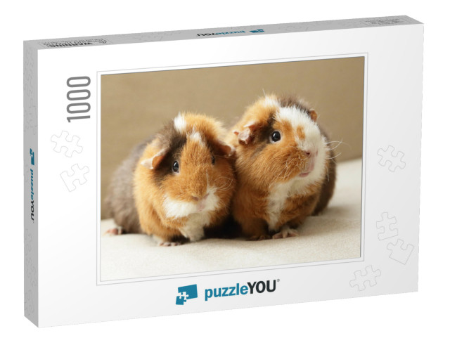 Cute Guinea Pigs... Jigsaw Puzzle with 1000 pieces