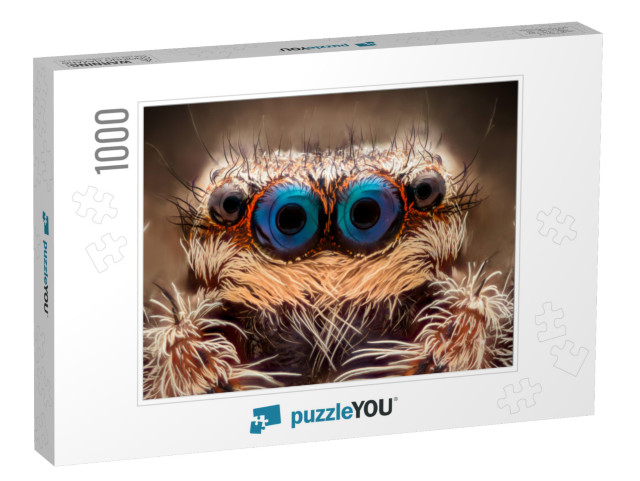 Extreme Magnification - Jumping Spider Portrait, Front Vi... Jigsaw Puzzle with 1000 pieces