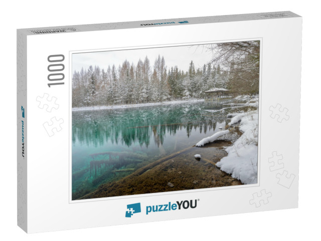 Kitch-Iti-Kipi, Big Spring. Fresh Snow in the Forest Alon... Jigsaw Puzzle with 1000 pieces