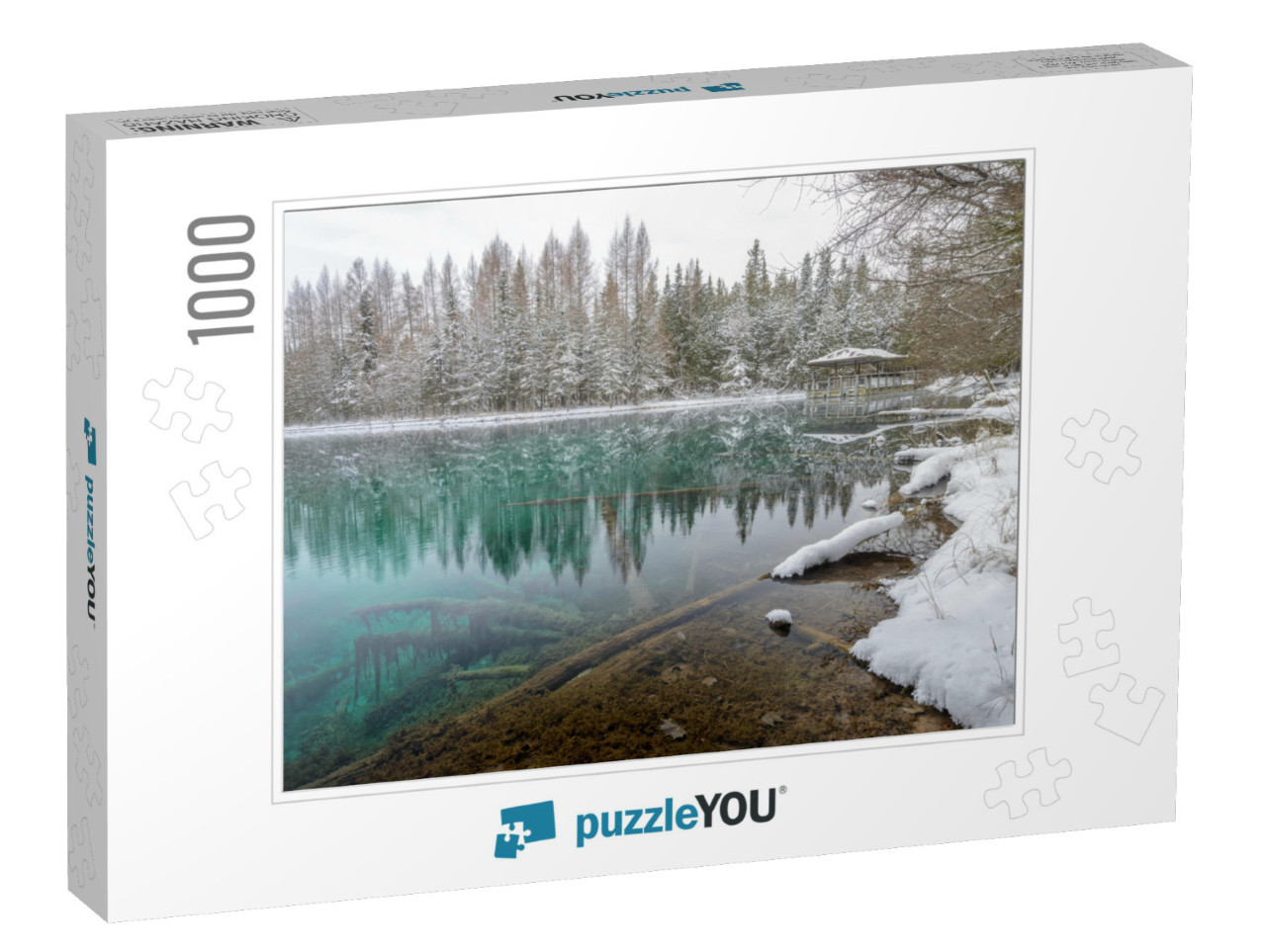 Kitch-Iti-Kipi, Big Spring. Fresh Snow in the Forest Alon... Jigsaw Puzzle with 1000 pieces