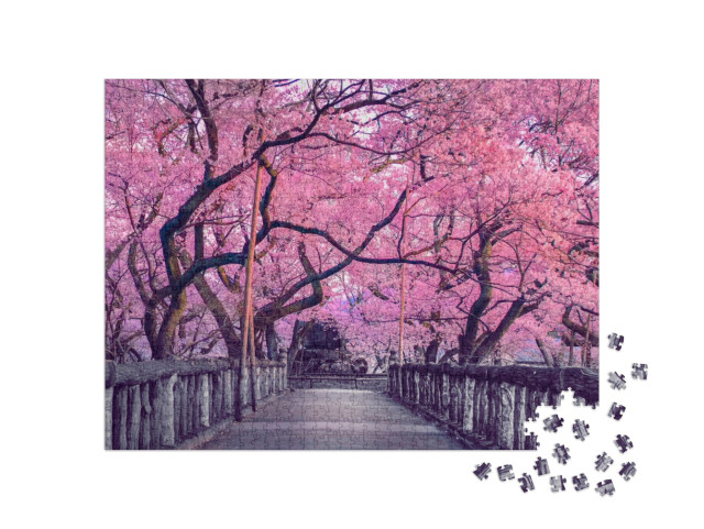 Beautiful Pink Cherry Trees Blooming Extravagantly At the... Jigsaw Puzzle with 1000 pieces