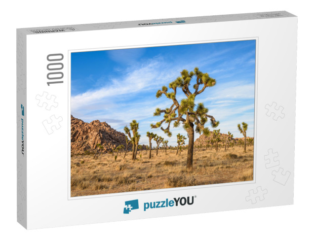 Joshua Tree National Park, Mojave Desert, California... Jigsaw Puzzle with 1000 pieces