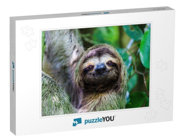 Sloth, Manuel Antonio National Park, Costa Rica, Central... Jigsaw Puzzle