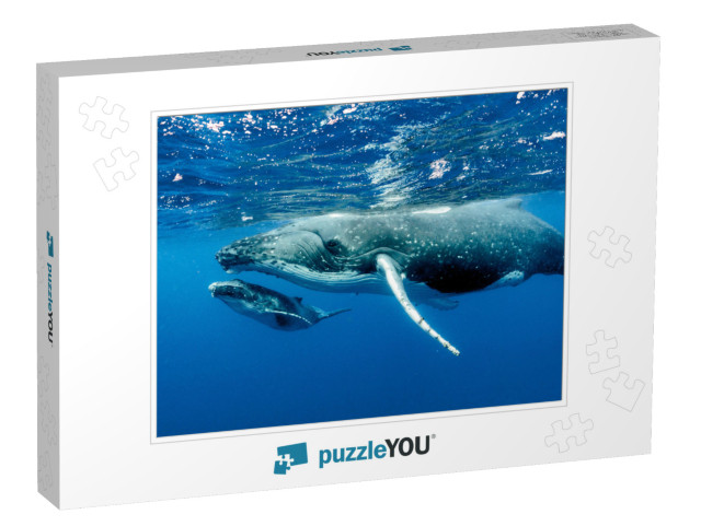 Humpback Whales Pacific Ocean... Jigsaw Puzzle