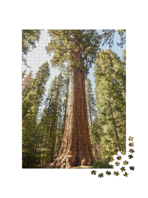 General Sherman Tree in Sequoia National Park, California... Jigsaw Puzzle with 1000 pieces