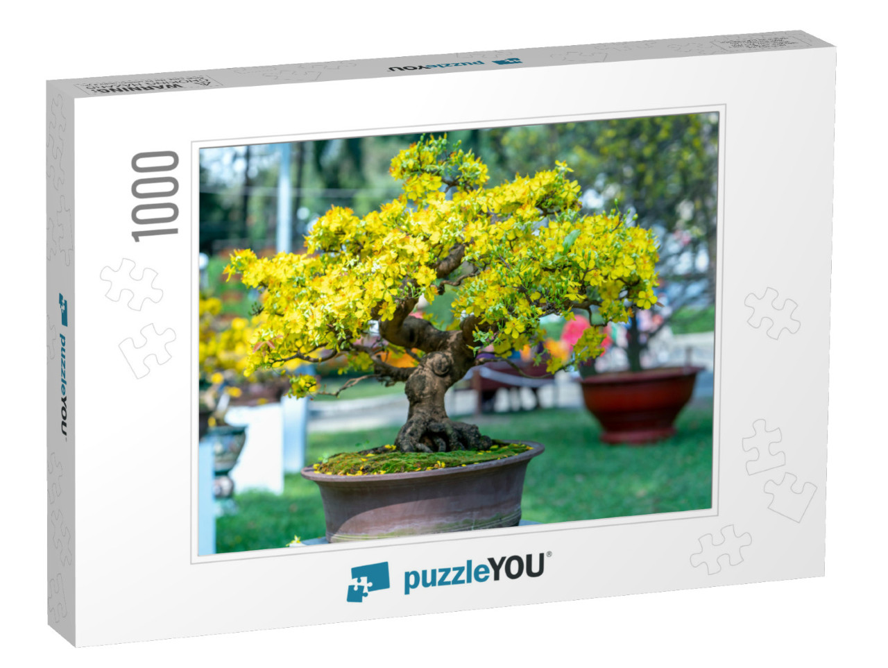 Apricot Bonsai Tree Blooming with Yellow Flowering Branch... Jigsaw Puzzle with 1000 pieces