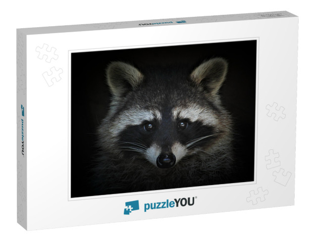 Portrait of a Cute Raccoon on a Black Background... Jigsaw Puzzle