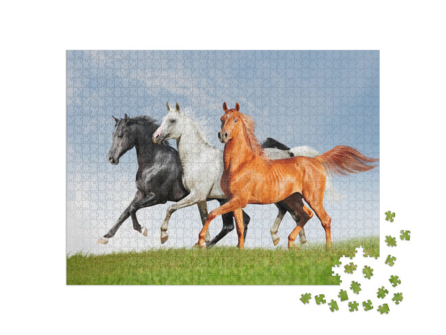 Three Arab Horse Runs Free... Jigsaw Puzzle with 1000 pieces