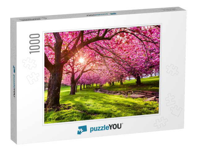 Cherry Tree Blossom Explosion in Hurd Park, Dover, New Je... Jigsaw Puzzle with 1000 pieces