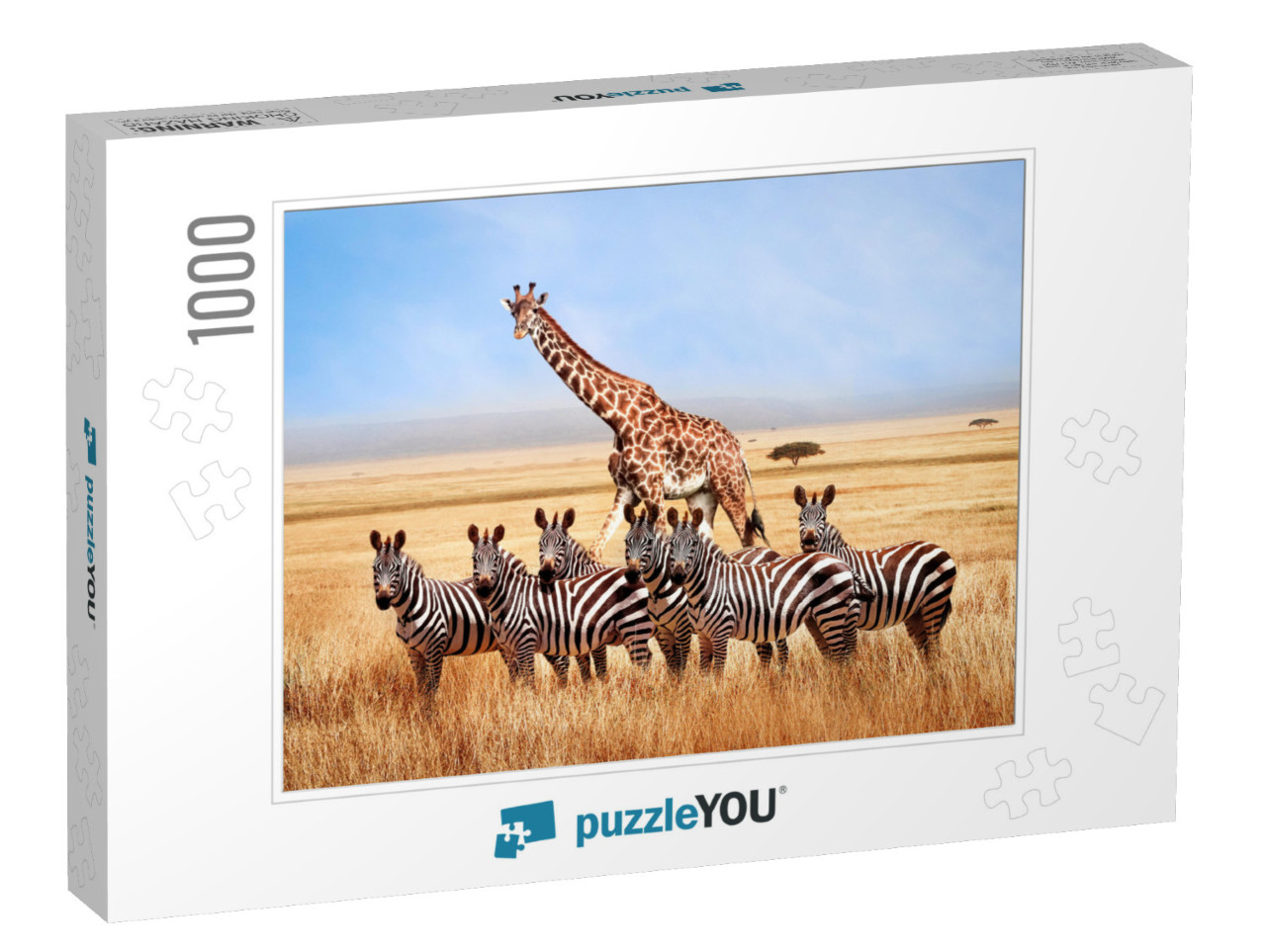 Group of Wild Zebras & Giraffe in the African Savanna Aga... Jigsaw Puzzle with 1000 pieces