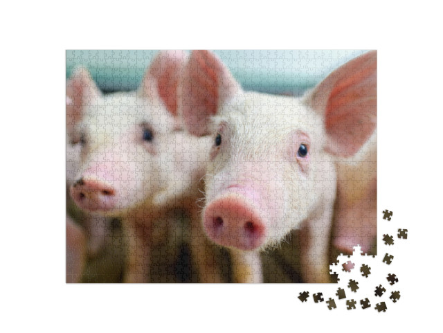 Pig Farm Industry Farming Hog Barn Pork... Jigsaw Puzzle with 1000 pieces