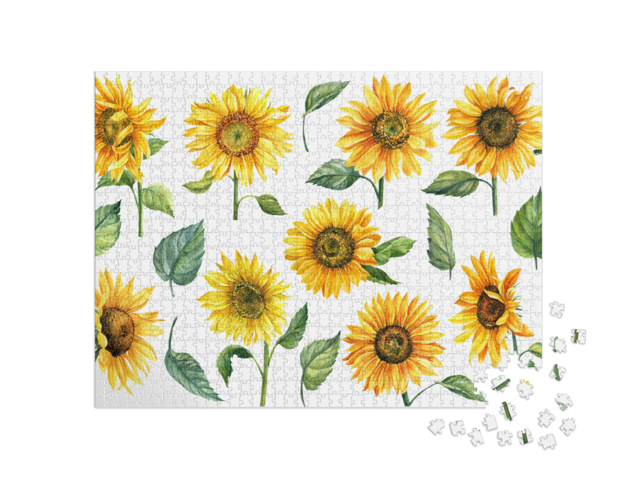 Sunflowers Isolated on White Background, Watercolor Botan... Jigsaw Puzzle with 1000 pieces