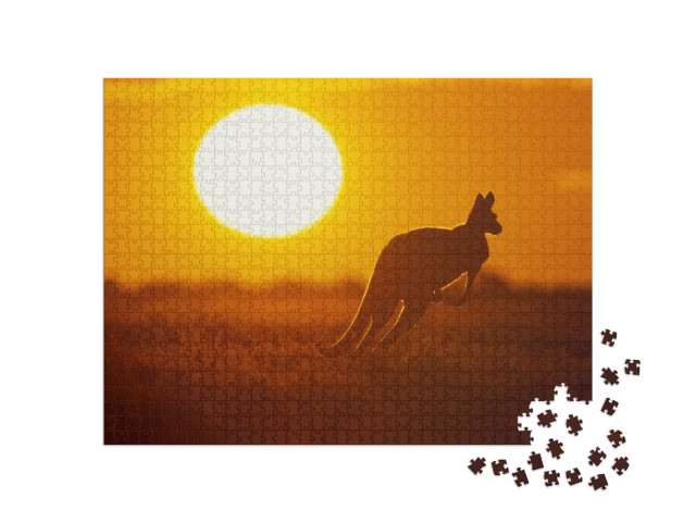 Kangaroo in Sunset in Sturt National Park in the Far West... Jigsaw Puzzle with 1000 pieces