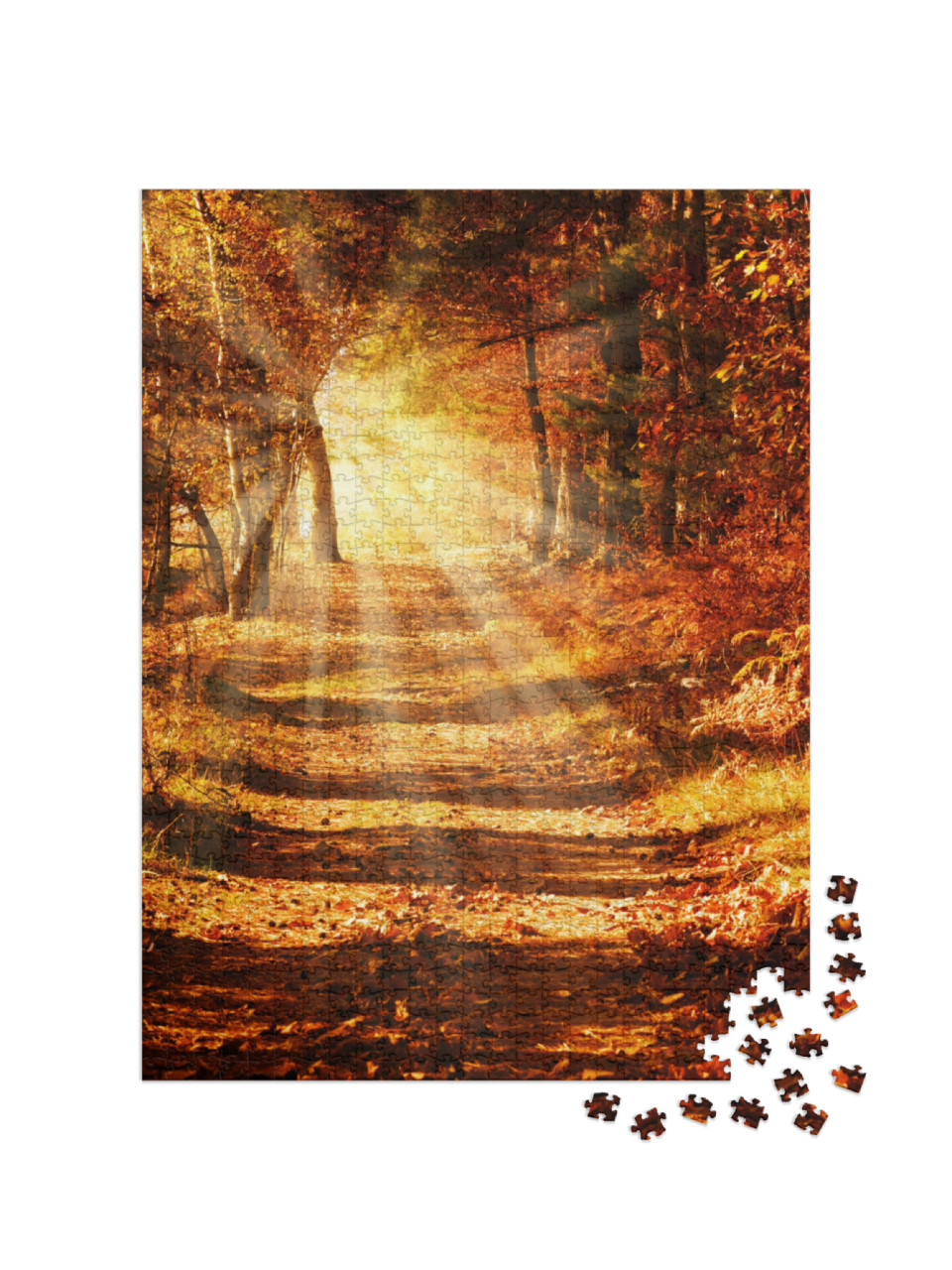 Sunbeams on a Forest Path in Golden Autumn... Jigsaw Puzzle with 1000 pieces