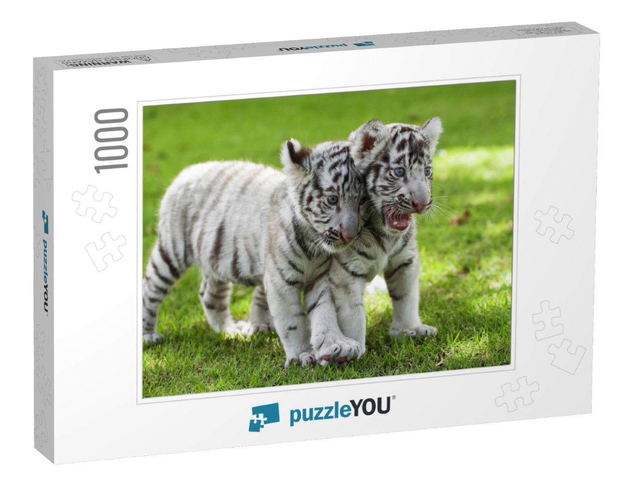 White Tiger... Jigsaw Puzzle with 1000 pieces