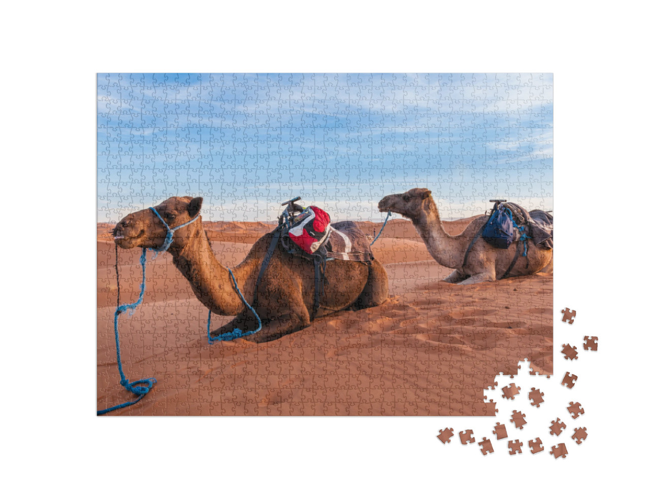 Camel Caravan in the Sahara of Morocco... Jigsaw Puzzle with 1000 pieces