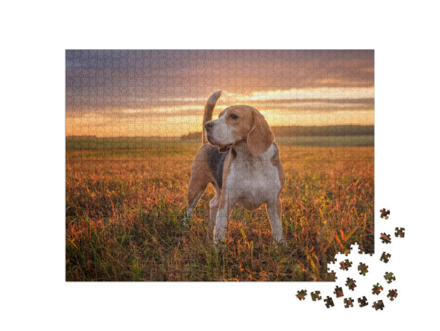 Portrait of a Beagle Dog on the Background of a Beautiful... Jigsaw Puzzle with 1000 pieces