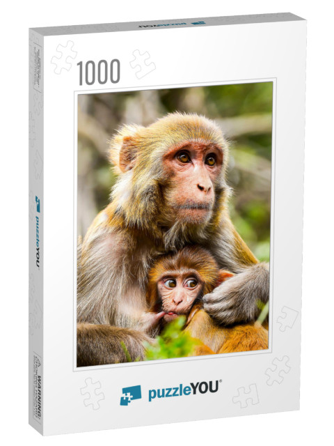 Monkey Mother with Baby Portrait... Jigsaw Puzzle with 1000 pieces