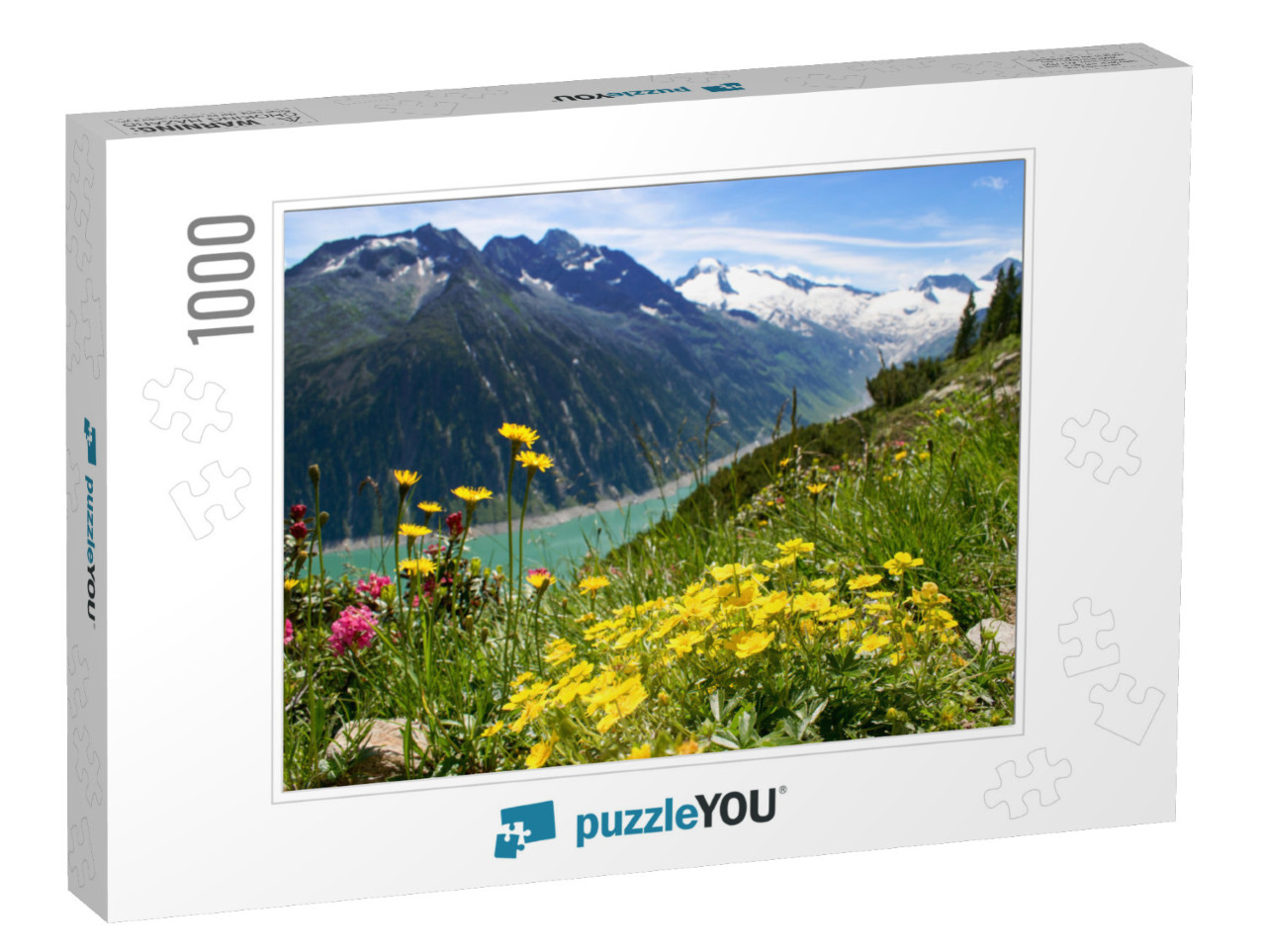 Mountain Pasture in Zillertal Area, Austria with Blooming... Jigsaw Puzzle with 1000 pieces