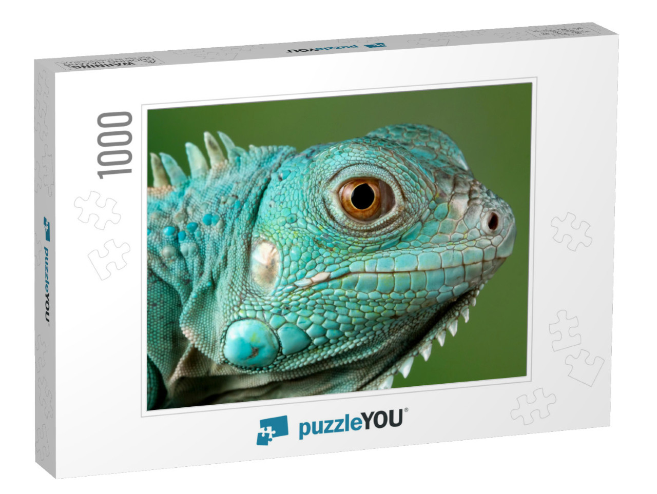 Blue Iguana Closeup Head, Blue Iguana Grand Cayman Blue I... Jigsaw Puzzle with 1000 pieces