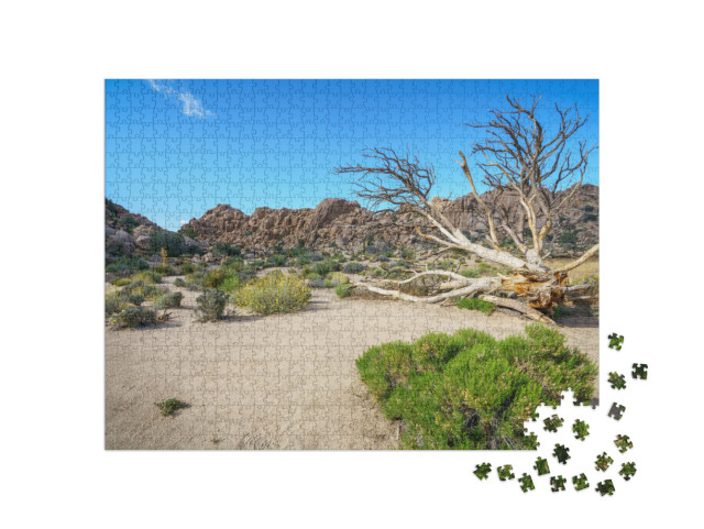 Hiking the Hidden Valley Trail in Joshua Tree National Pa... Jigsaw Puzzle with 1000 pieces