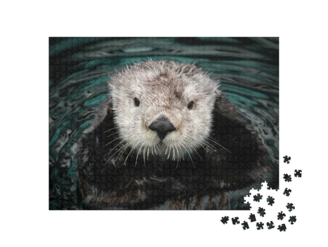 Sea Otter Posing in the Water... Jigsaw Puzzle with 1000 pieces