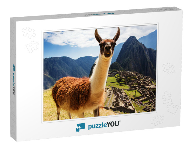 Lama At Machu Picchu, Incas Ruins in the Peruvian Andes A... Jigsaw Puzzle