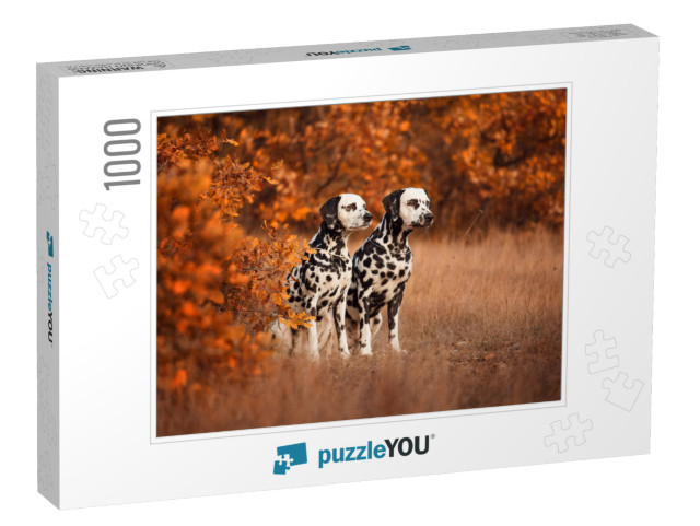 Two Dalmatian Dogs on a Walk... Jigsaw Puzzle with 1000 pieces