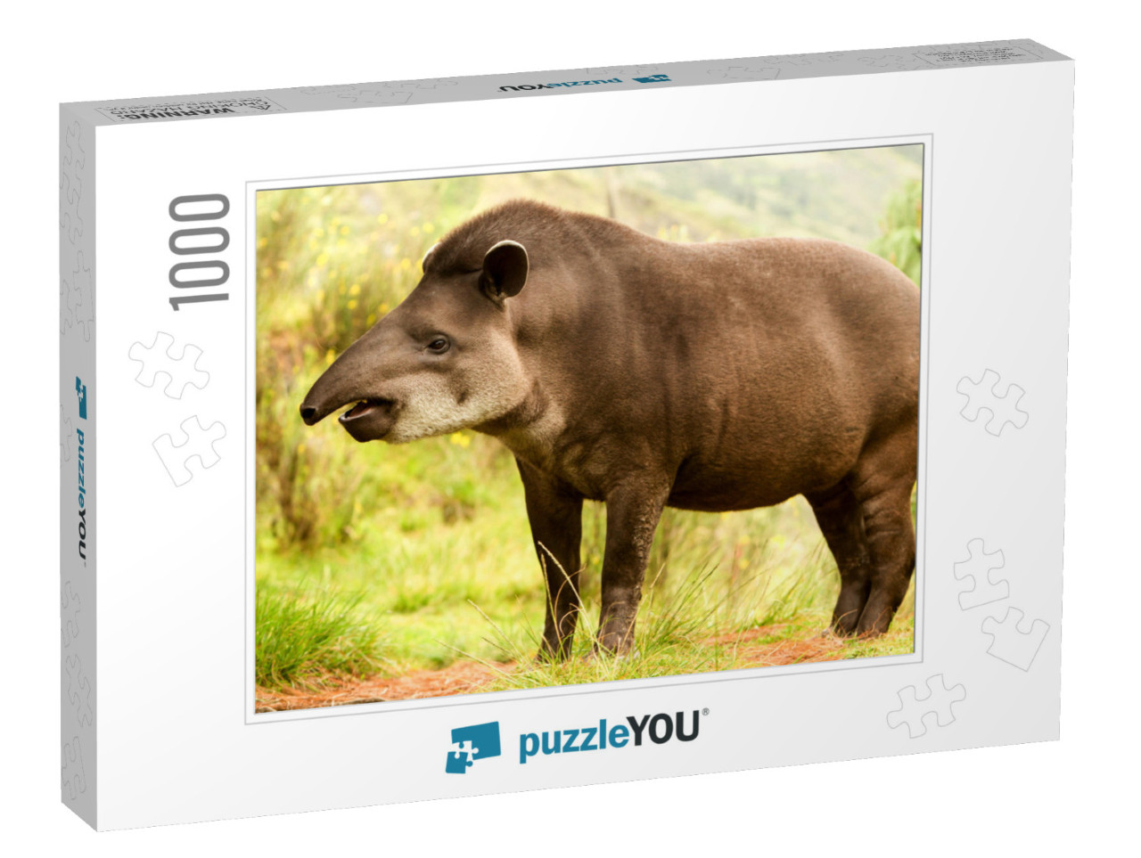 Tapir America South Tapirus Mountain Pinchaque Wild Ecuad... Jigsaw Puzzle with 1000 pieces