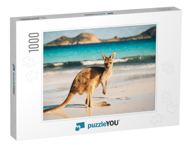 Kangaroo At Lucky Bay in the Cape Le Grand National Park... Jigsaw Puzzle with 1000 pieces